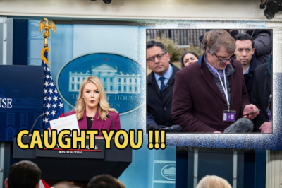 Karoline Leavitt Exposes Journalist Who Infiltrated DoD Group Chat, Crushes ‘Sensationalist’ Story