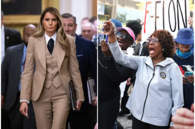 Maxine Waters suggests Trump should deport Melania