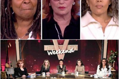 ‘The View’ Hosts In Hot Water After ABC Gives Them This Warning