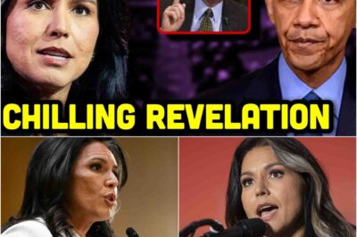 Tulsi Gabbard just exposed the Deep State’s darkest secrets live on air — But What She Reveals Next Will Shock Even Her Critics