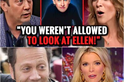 Fans are losing their minds after Rob Schneider and Megyn Kelly ripped into Ellen DeGeneres on live TV — and the shocking truth behind her fall from fame is even worse than anyone imagined
