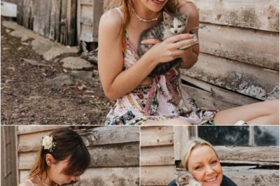 Bride Chloe Hayden’s wedding took an unexpected turn when she discovered four stray kittens under a barn. Determined to rescue them, she returned after the ceremony and found them just in time. Two now live with her, and the other two were adopted by her parents—a perfect fairy-tale ending! 🐱✨