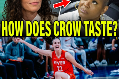 Sue Bird DESTROYS Sheryl Swoopes In LATEST INTERVIEW, Defends Caitlin Clark & Indiana Fever!