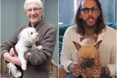 Pete Wicks ‘LANDS SECOND SERIES’ of For Dogs’ Sake: ‘A worthy SUCCESSOR to Paul O’Grady’!
