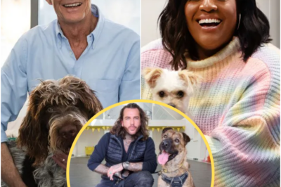 Pete Wicks ‘lands second series’ of For Dogs’ Sake: ‘A worthy SUCCESSOR to Paul O’Grady’!
