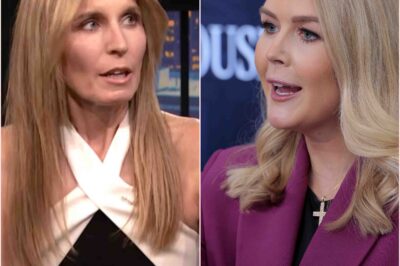 Fans are losing their minds after Karoline Leavitt reacted violently to veteran MSNBC host Nicolle Wallace, but when the reason was exposed, no one doubted it anymore