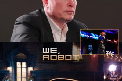 BREAKING: Huge setback to Elon Musk could leave billionaire forced to press pause on project he’s been working on over a decade