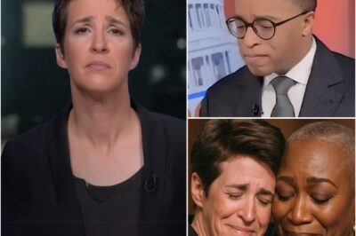 Rachel Maddow’s Bold MSNBC Revolt: Powerful Stand or Hypocritical Drama?—Inside the Explosive Media Fallout