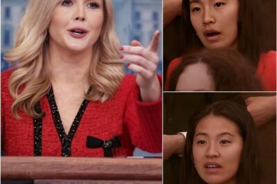 “EXCUSE ME—THIS IS AMERICA”: Karoline Leavitt FREEZES Chinese Reporter With One Sentence That Changed the Room