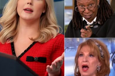 FOX NEWS ERUPTS: Karoline Leavitt Obliterates The View With One Savage Line—Even the Hosts Didn’t See It Coming