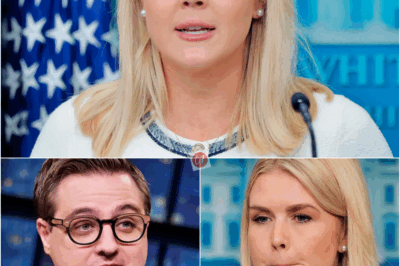 Karoline Leavitt tried to handle Chris Hayes live on air with just one sentence — but she didn’t expect his completely unprepared reply would hand her a bitter ending right on the spot.