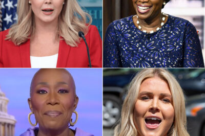 Karoline Leavitt Tries to Control the Narrative on MSNBC—But Joy Reid BRINGS THE RECEIPTS and FREEZES Her Live On-Air