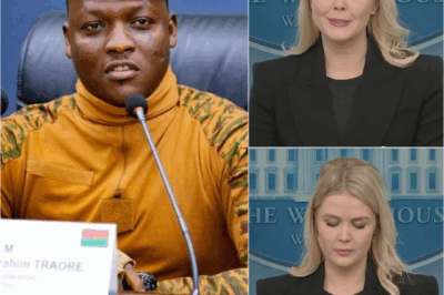 Karoline Leavitt Tried to Lecture an African President on Leadership — What He Said Back Made Milliions of Americans Cheer, and Left Her More Humiliated Than Ever Before C3
