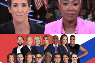 “YOU CAN CUT OFF ONE HEAD, BUT TWO MORE WILL RISE”: Maddow & Reid’s SILENT TAKEOVER Shakes MSNBC to Its Core!