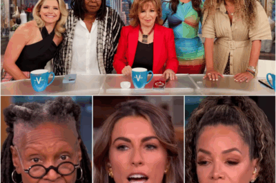 THE VIEW IS CANCELLED — And We Finally Have the Proof and ABC has officially pulled the plug on The View!